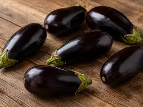 Что приготовить из баклажанов: 10 лучших рецептов на любой вкус